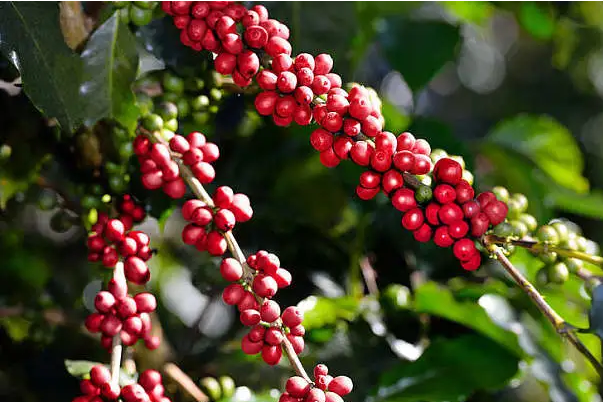 1697439531834569.png 微信截图_20230818103858.png