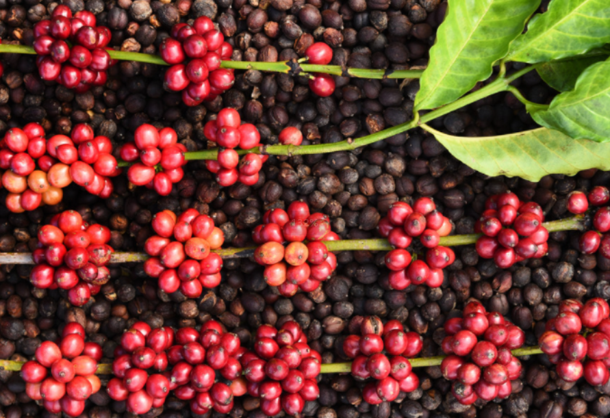 1697440650918464.png 微信截图_20230825145457.png