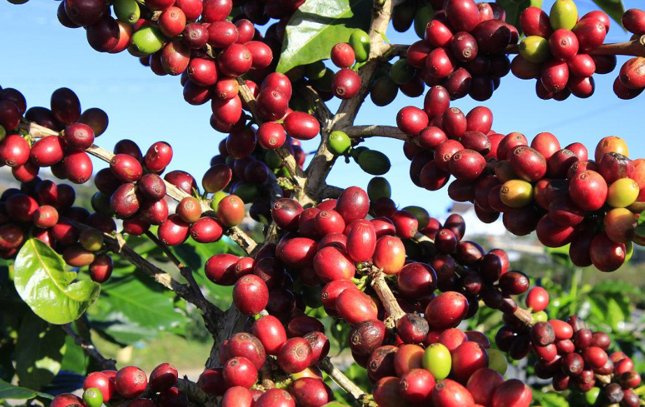 1697440658553542.png 微信截图_20230825145633.png