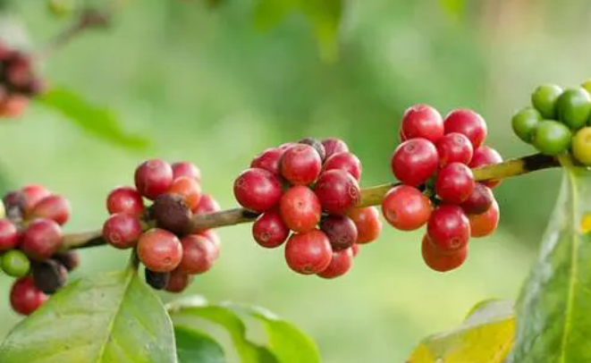 1697440977847946.png 微信截图_20230825145310.png