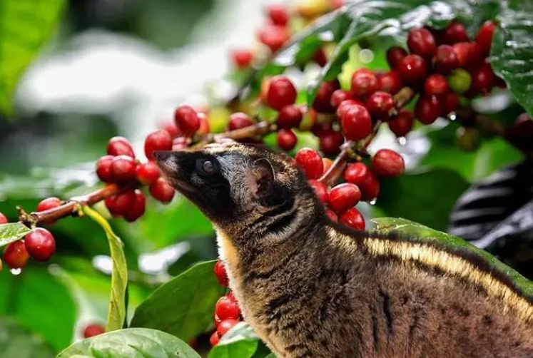 1697442222492827.png 微信截图_20230829152211.png