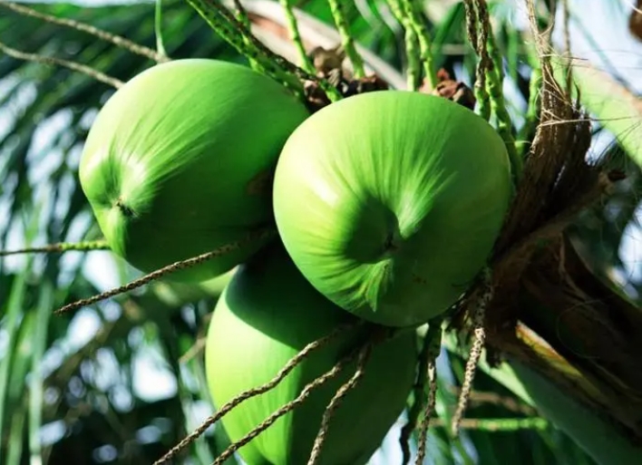 1697792120720128.png 微信截图_20231020144836.png