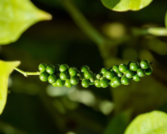 1698738854125112.png 微信截图_20231030163732.png