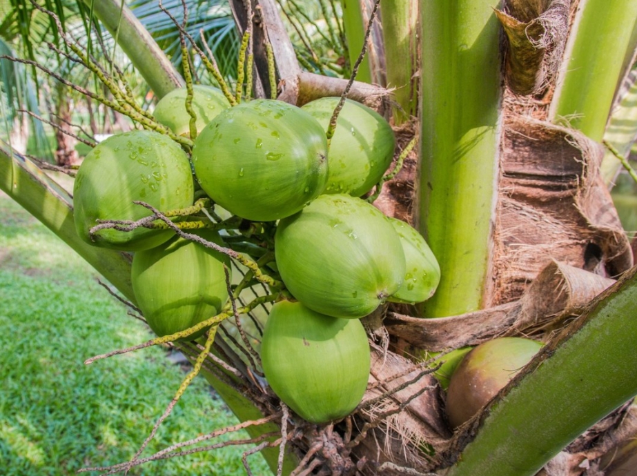 1699856896737348.png 微信截图_20231108113654.png