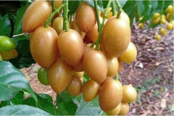 1700118397622546.png 微信截图_20231114114227.png