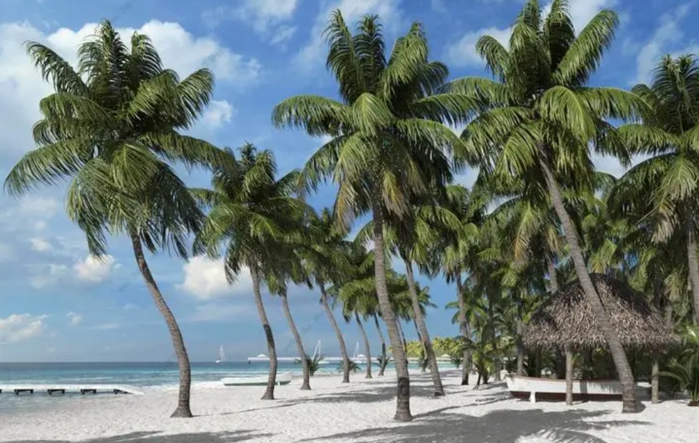 1700203595140445.png 微信截图_20231115151520.png