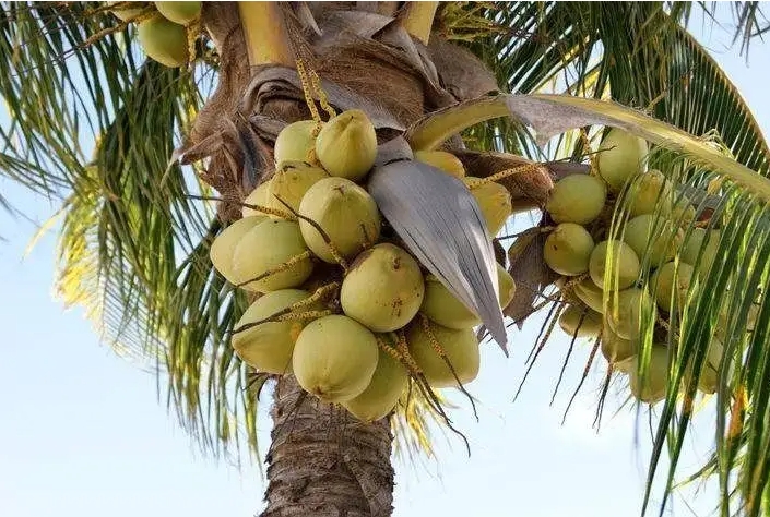 1700203611765316.png 微信截图_20231115152354.png