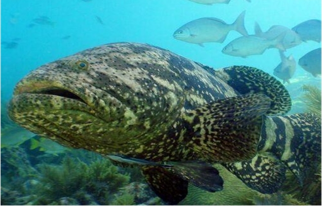 1702002552920716.png 微信截图_20231206103357.png