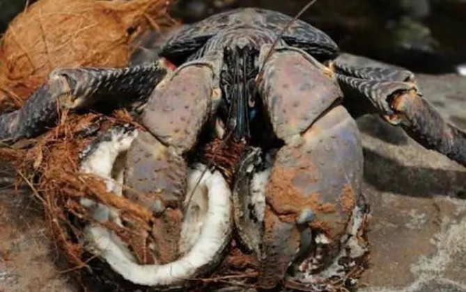 1703473569610695.png 微信截图_20231220153449.png