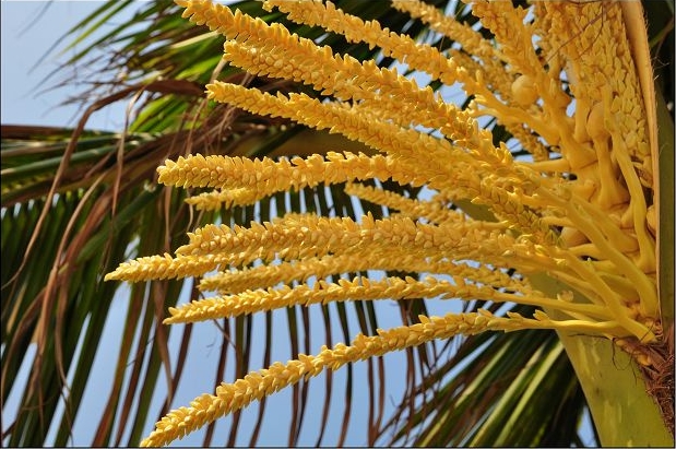 1703575217712860.png 微信截图_20231221161829.png