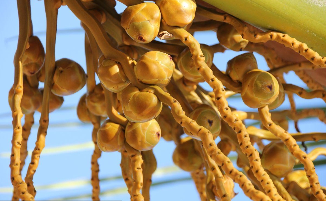 1703575229322927.png 微信截图_20231221161920.png