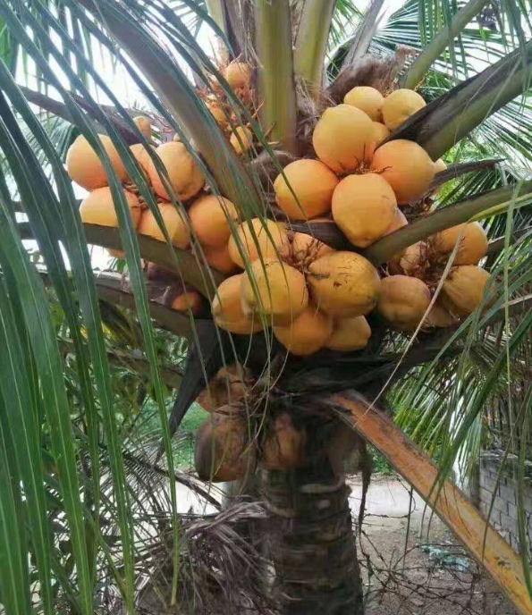 1703830790363943.png 微信截图_20231227150749.png