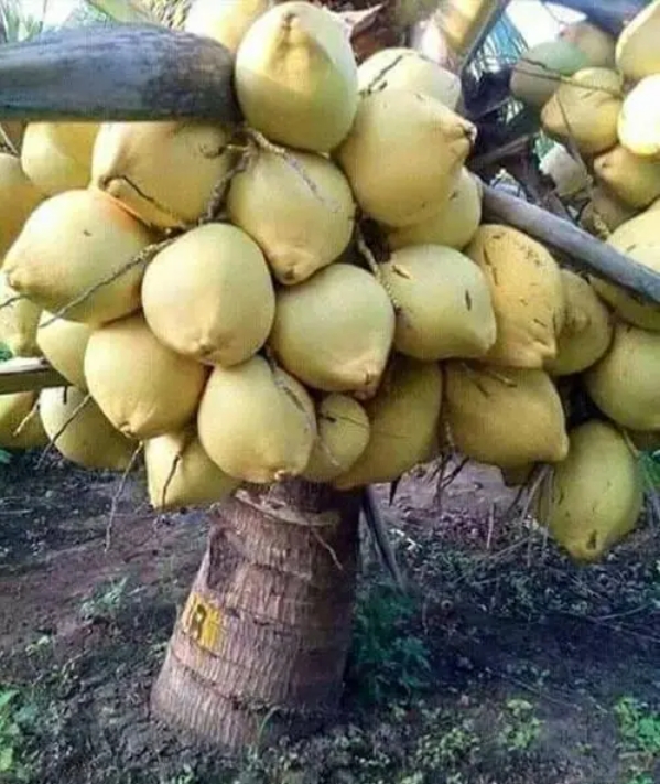 1703830801314497.png 微信截图_20231227150847.png