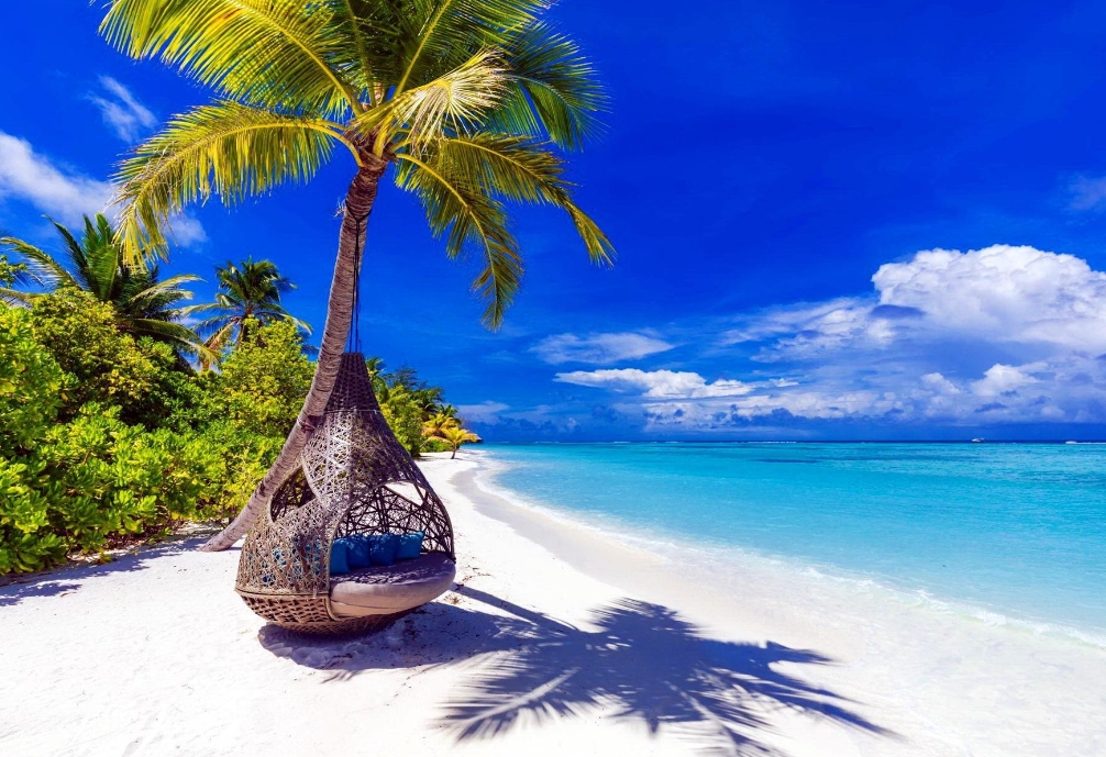 1704789669425733.png 微信截图_20240105145343.png