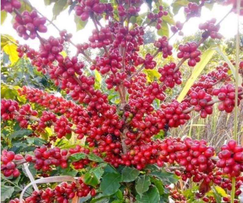 1704877829830929.png 微信截图_20240108152005.png