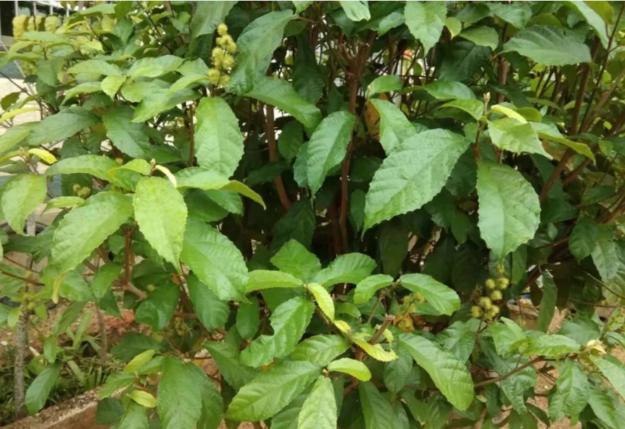 1704955088723487.png 微信截图_20240108153917.png