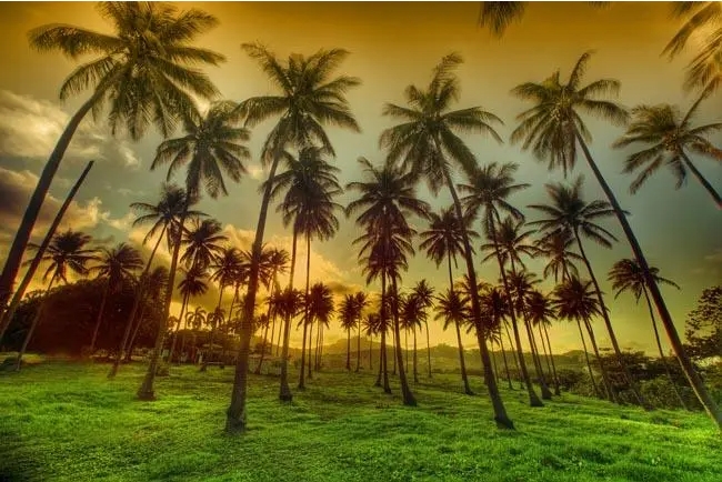 1705652993366039.png 微信截图_20240115170159.png