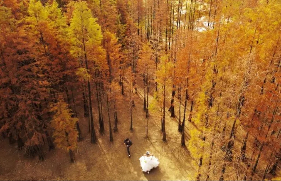 1706685545616873.png 微信截图_20240129151029.png