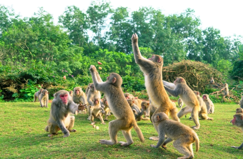 1708842474887396.png 微信截图_20240119150657.png