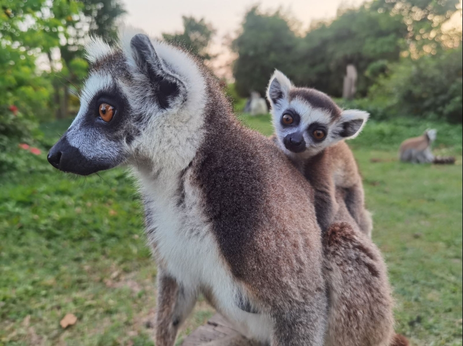 1708843522485265.png 微信截图_20240119155702.png