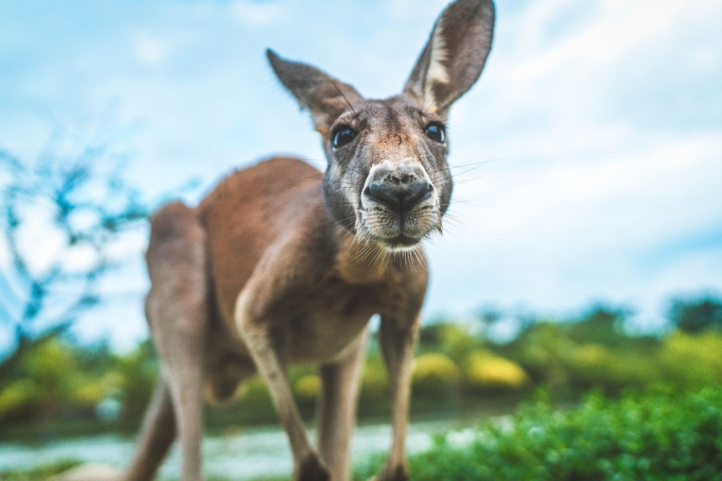 1708843528132347.png 微信截图_20240119154541.png