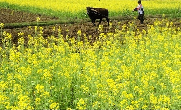 1709619996154258.png 微信截图_20240304101840.png