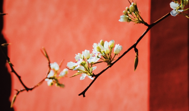 1709620000210334.png 微信截图_20240304101959.png