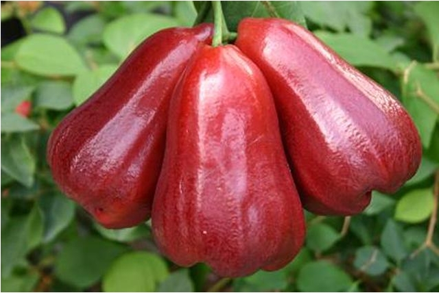 1709880494336368.png 微信截图_20240305160353.png