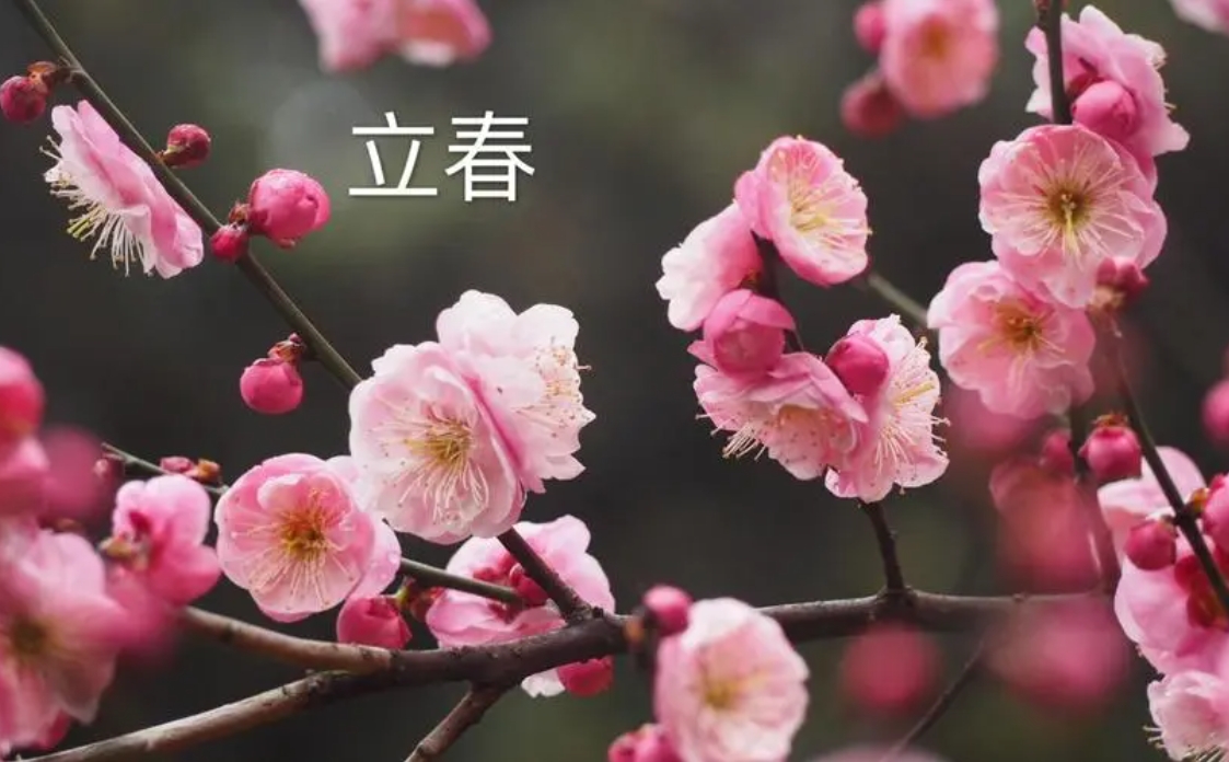 1710228717709803.png 微信截图_20240311145113.png