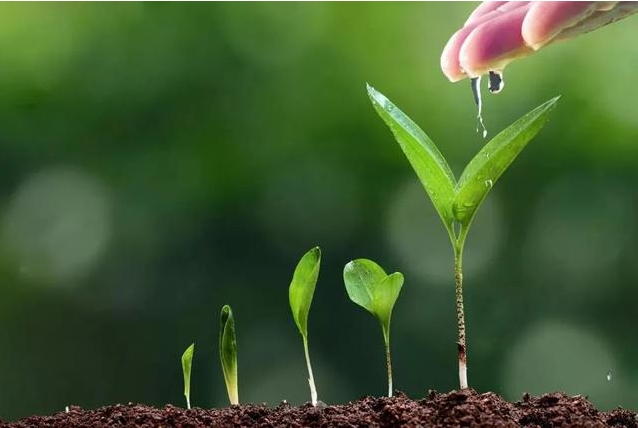 1710229212579442.png 微信截图_20240311095902.png