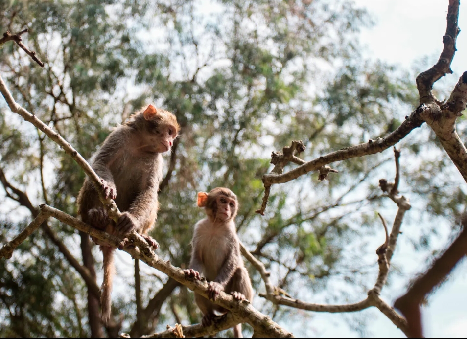 1710751486649778.png 微信截图_20240301151038.png