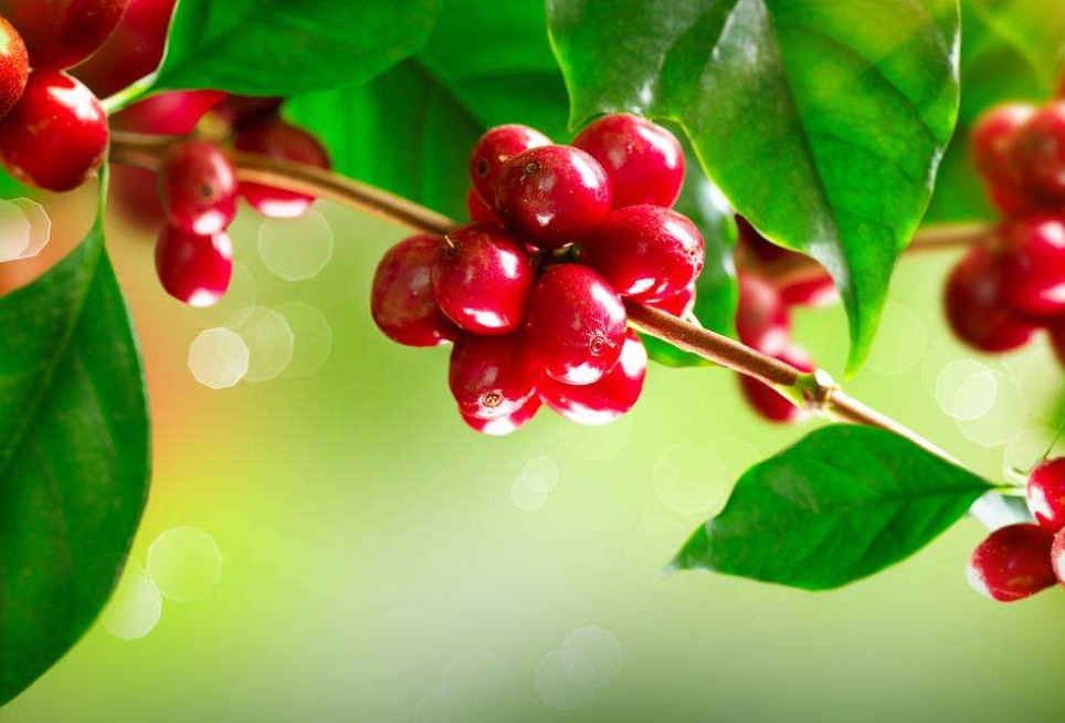 1711011348145128.png 微信截图_20240321143008.png