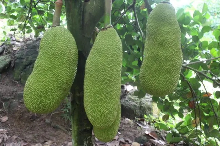 1711076164347627.png 微信截图_20240322101604.png