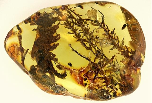 1714373529902094.png 微信截图_20240429110733.png