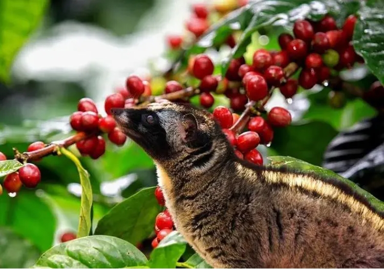 1714982164484569.png 微信截图_20231108154327.png