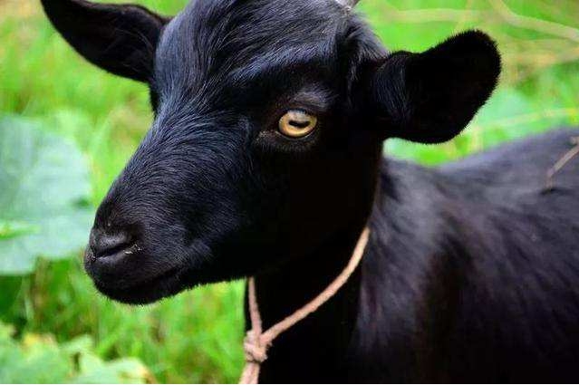 1715234950423859.png 微信截图_20240509094053.png