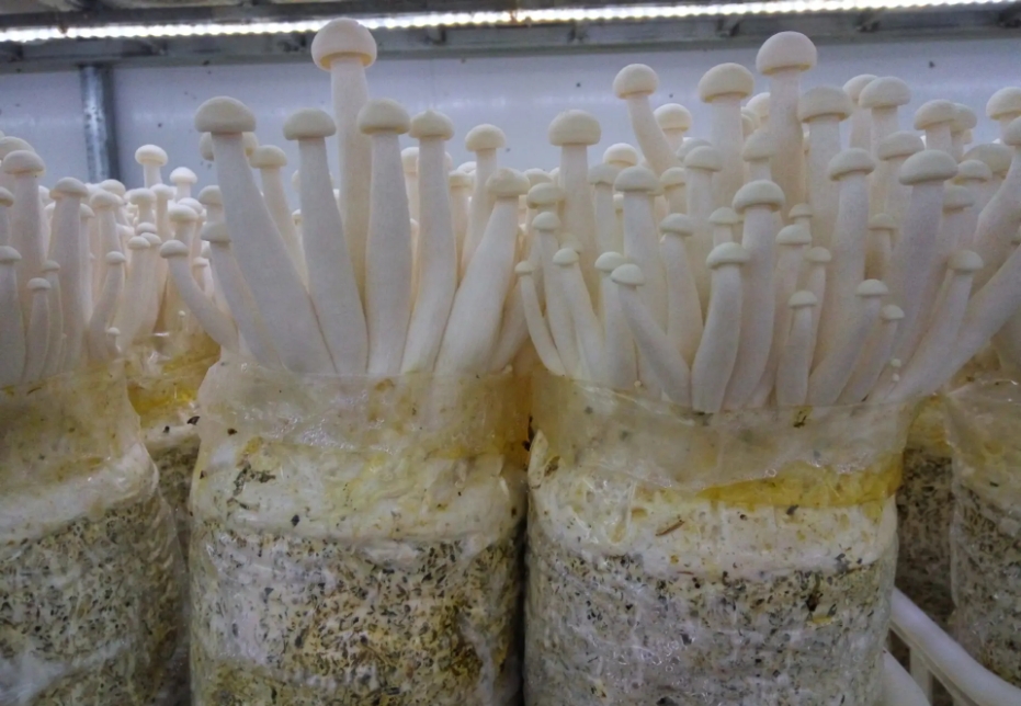 1715329431576852.png 微信截图_20240510153233.png