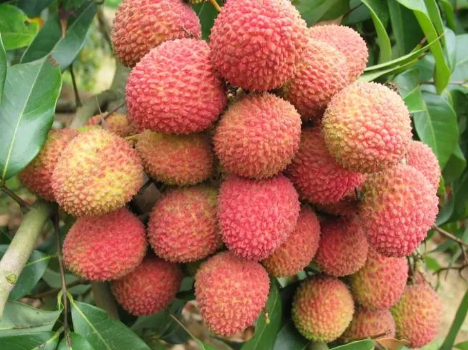 1715930566926973.png 微信截图_20240517145535.png