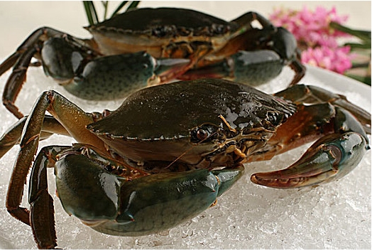 1716271897169613.png 微信截图_20240521113239.png