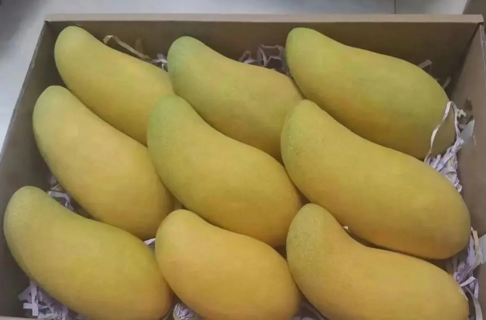 1716359394989458.png 微信截图_20240522142629.png