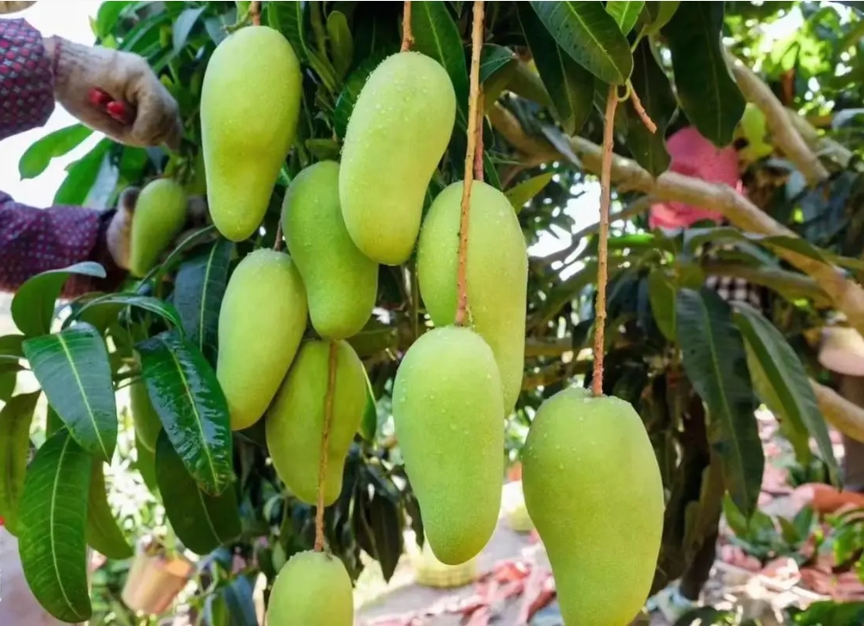 1716359405587003.png 微信截图_20240522142706.png