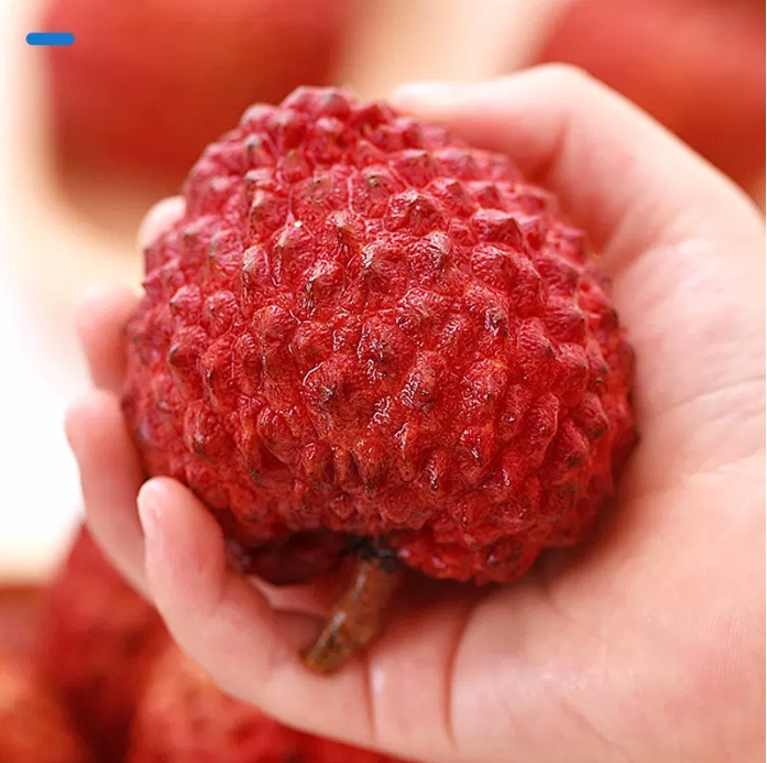 1717481962302486.png 微信截图_20240531151649.png