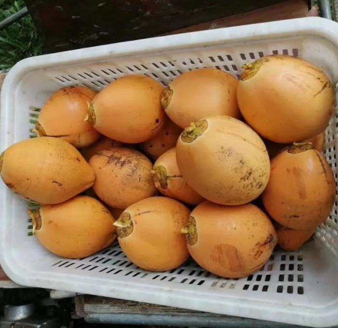 1717574857889866.png 微信截图_20240605152744.png