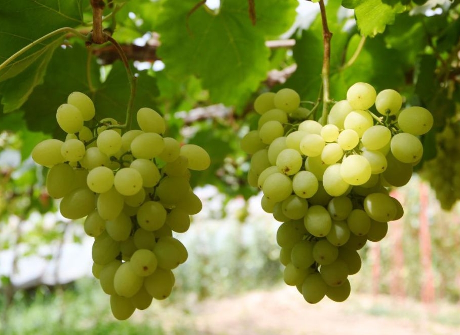 1717655820744403.png 微信截图_20240606140850.png