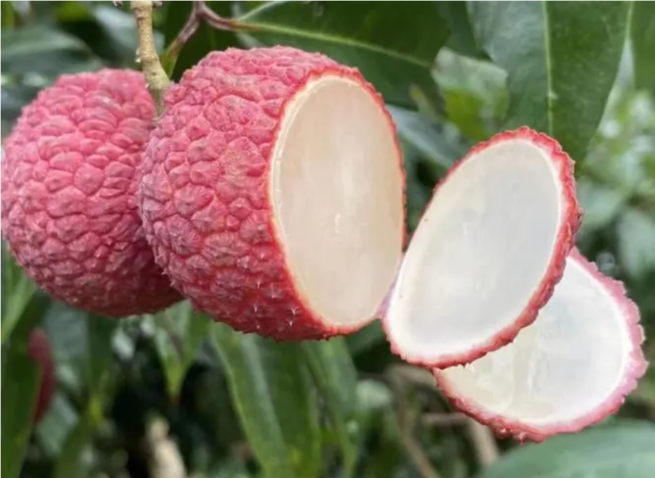 1717656355721027.png 微信截图_20240606141649.png