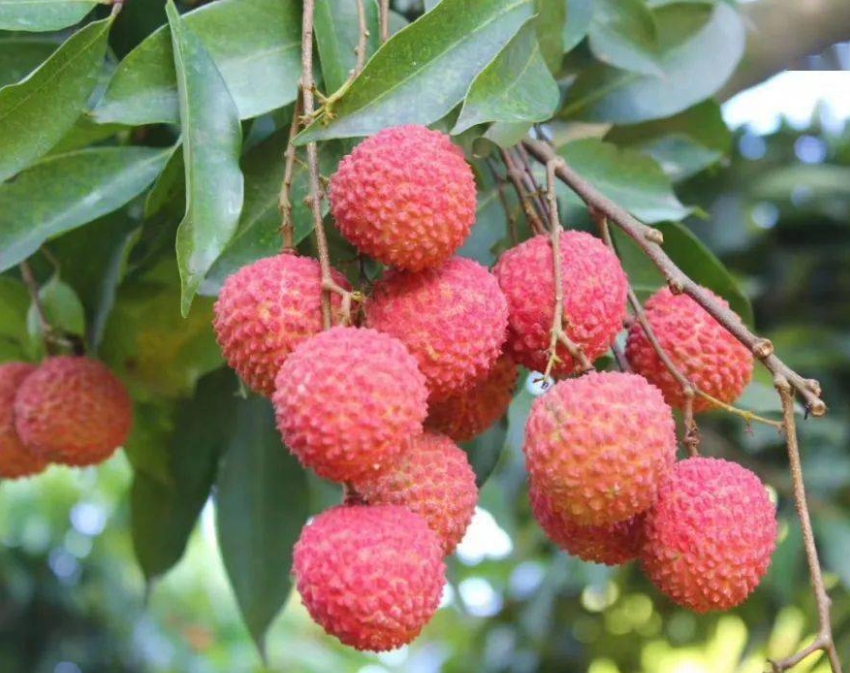 1718180034230207.png 微信截图_20240612152953.png