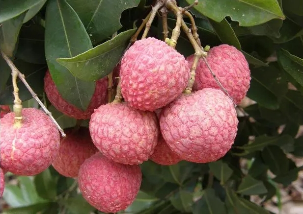 1718871183771325.png 微信截图_20240619142857.png