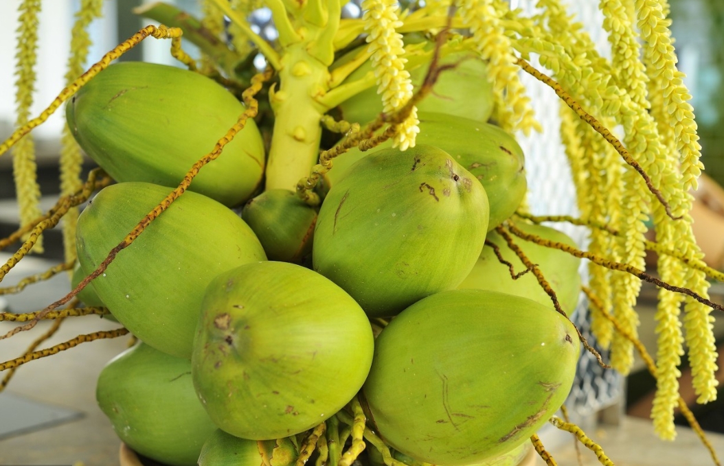 1719302927784196.png 微信截图_20240624162035.png