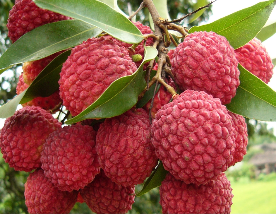 1719388774690509.png 微信截图_20240624170416.png