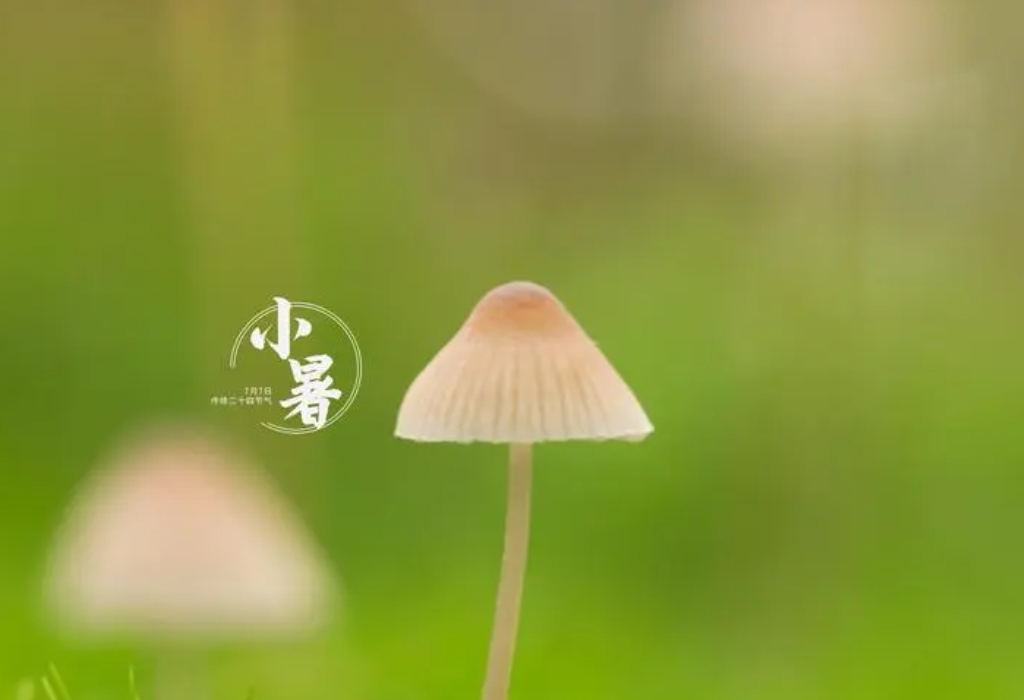 1720425391178921.png 微信截图_20240704160619.png